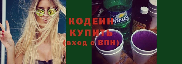 прущие крисы Горняк