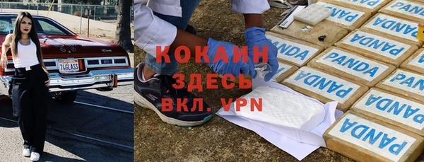 прущие крисы Горняк