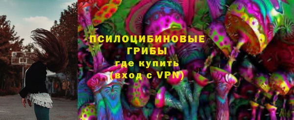 прущие крисы Горняк