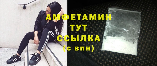 прущие крисы Горняк