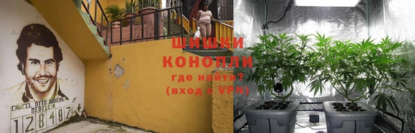 прущие крисы Горняк